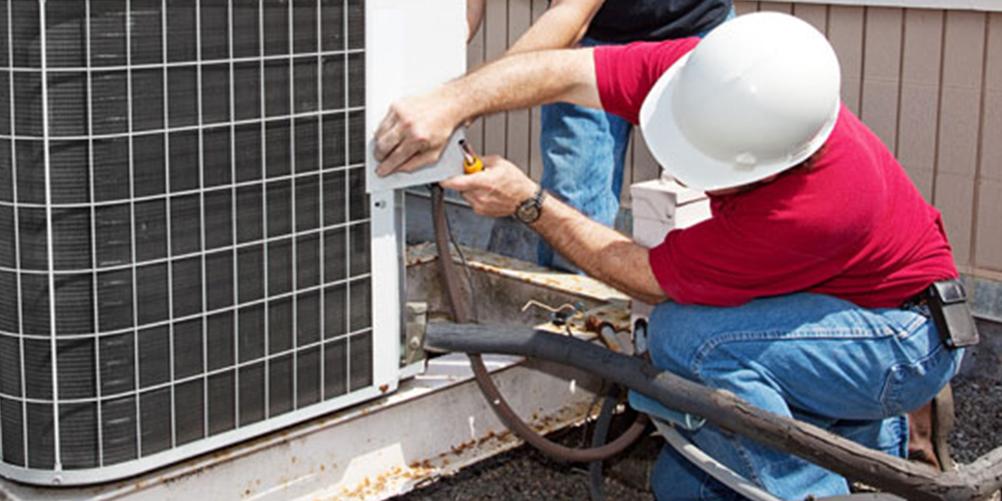 blog-22-5c49faf5368de