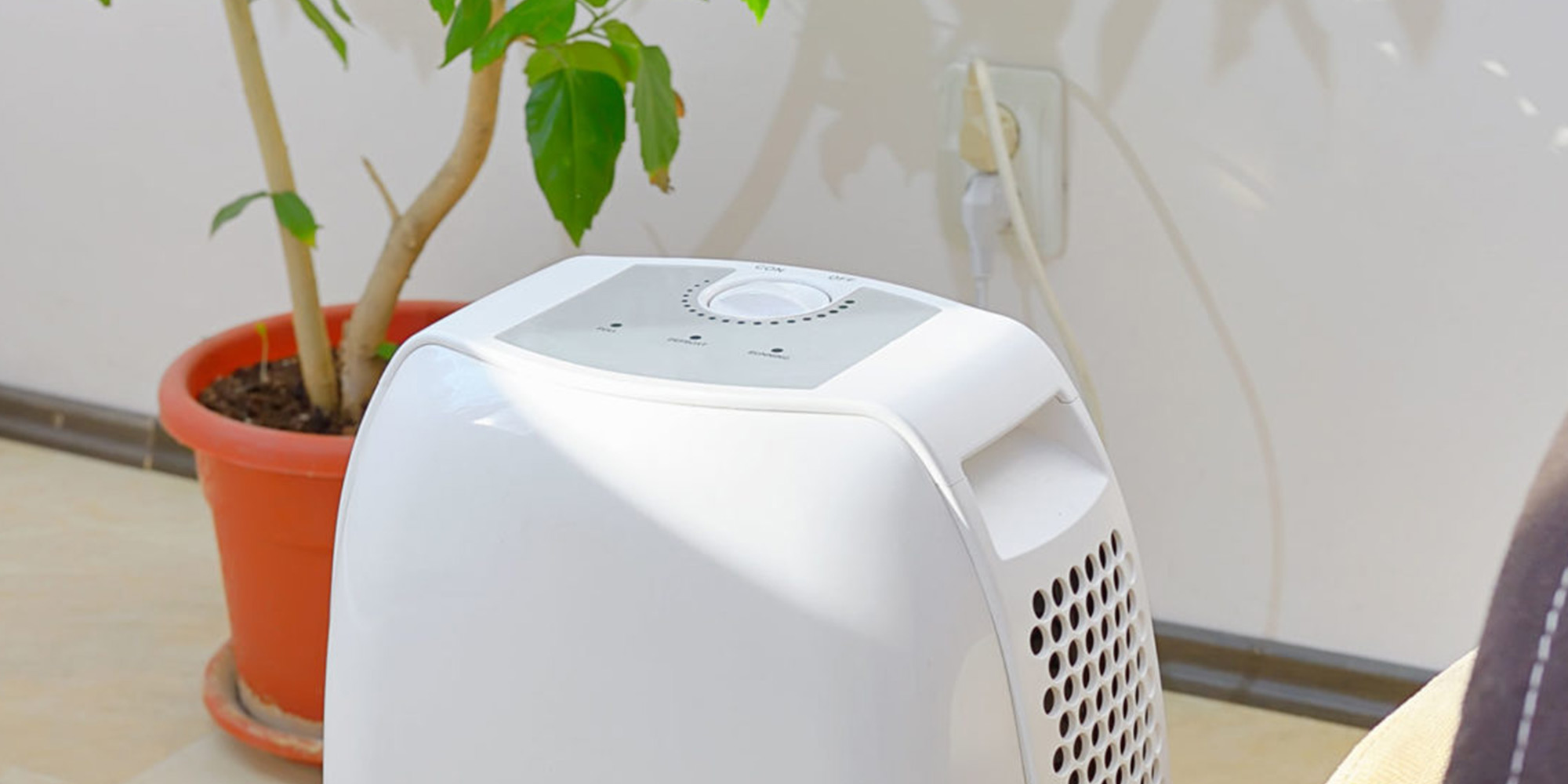 blog-23-5c49fbf9bcf62