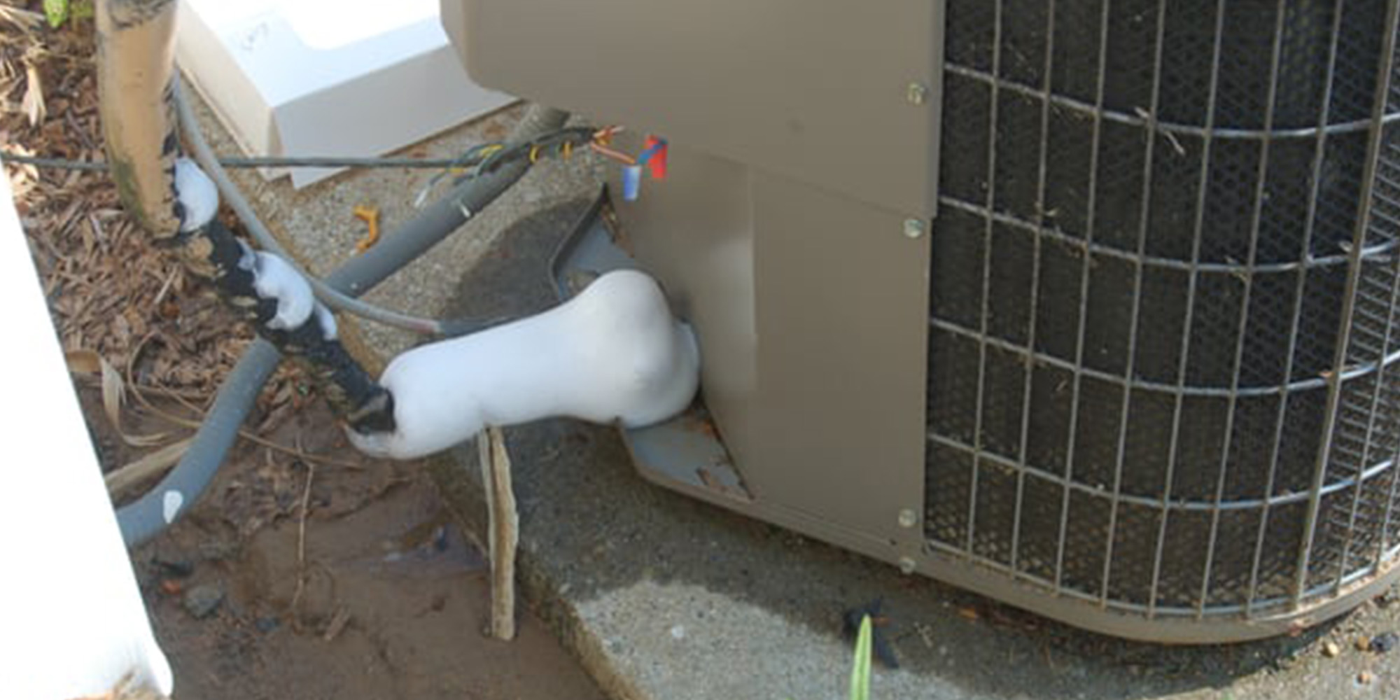 repair-5c49f8e76c093