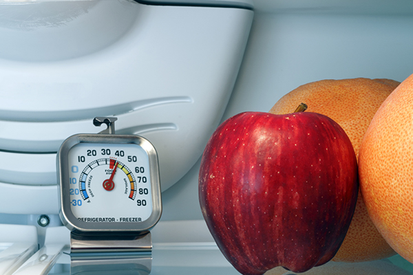 Thermometer inside on top shelf of cool food storage.