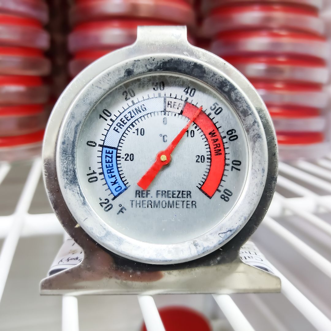fridge thermometer