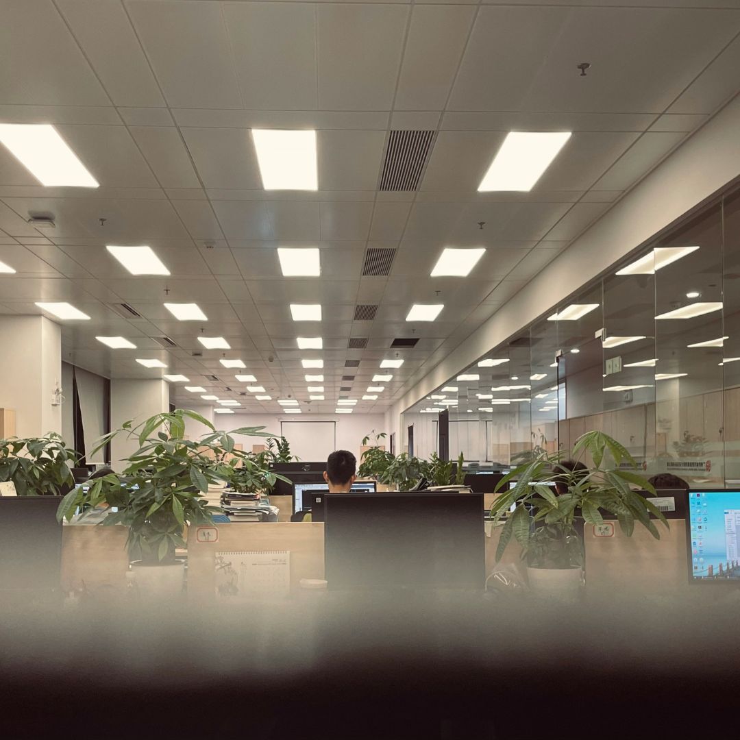 open plan office with plants